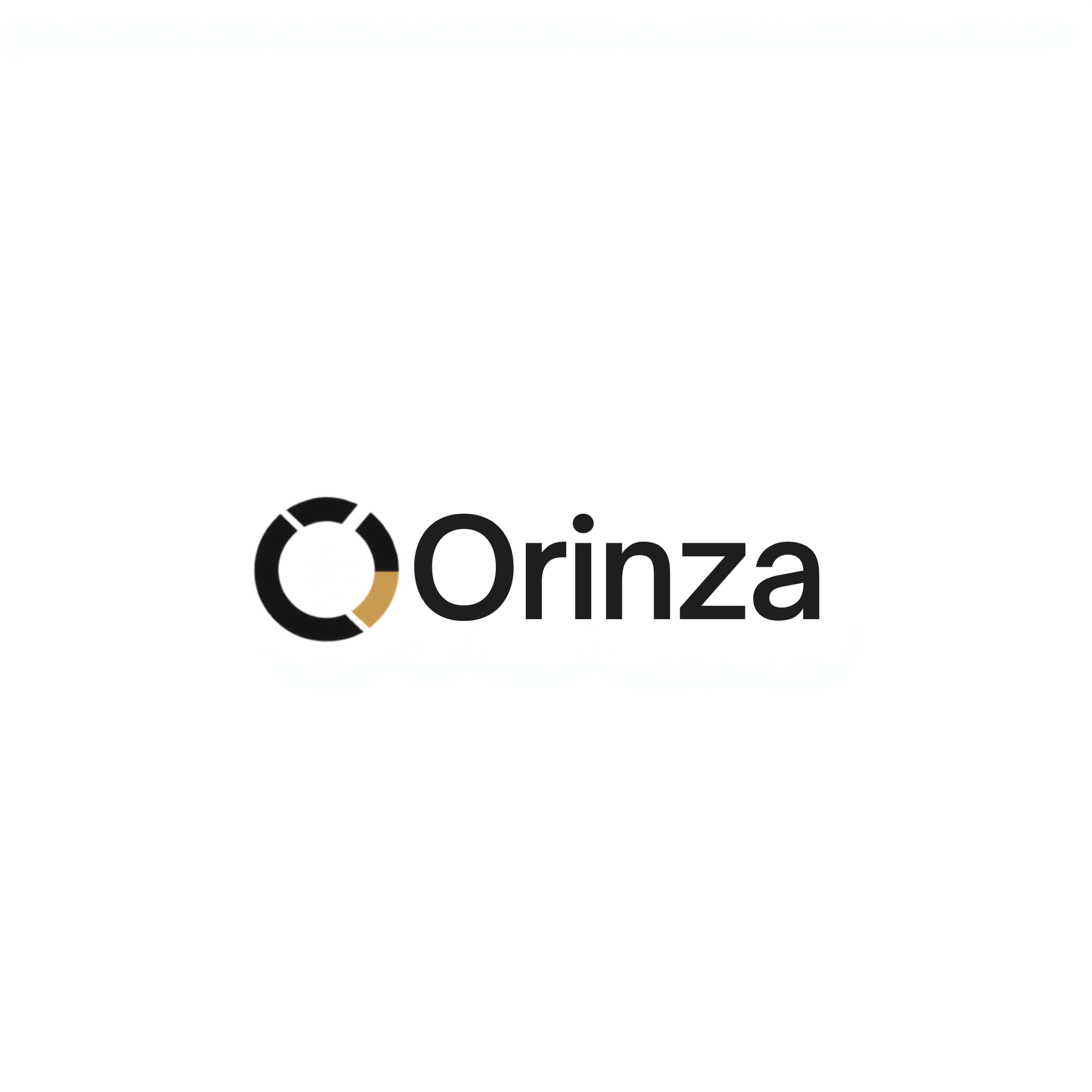 Orinza Store